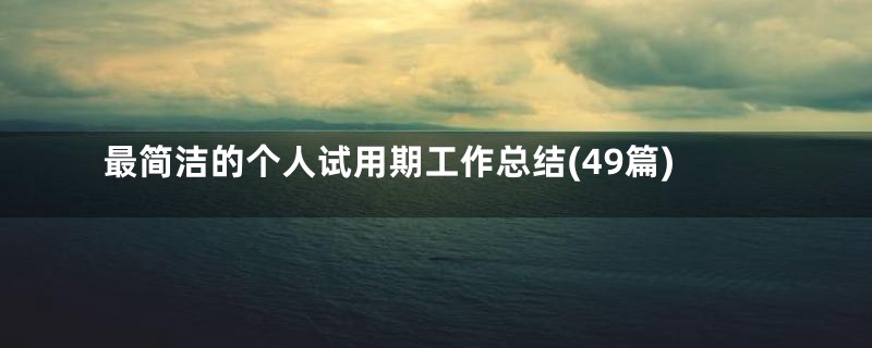 最简洁的个人试用期工作总结(49篇)
