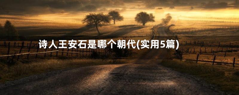 诗人王安石是哪个朝代(实用5篇)