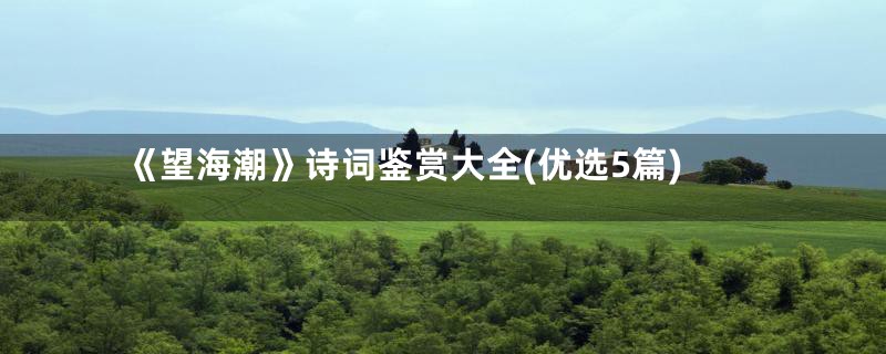 《望海潮》诗词鉴赏大全(优选5篇)