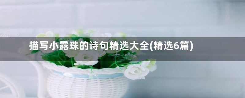 描写小露珠的诗句精选大全(精选6篇)