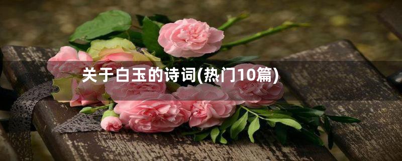 关于白玉的诗词(热门10篇)