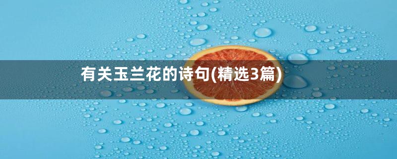 有关玉兰花的诗句(精选3篇)