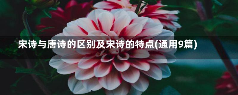 宋诗与唐诗的区别及宋诗的特点(通用9篇)