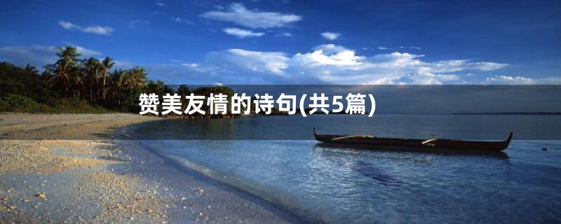 赞美友情的诗句(共5篇)