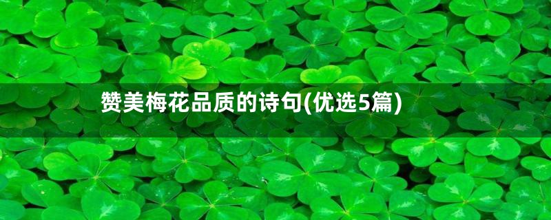 赞美梅花品质的诗句(优选5篇)