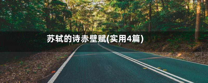 苏轼的诗赤壁赋(实用4篇)