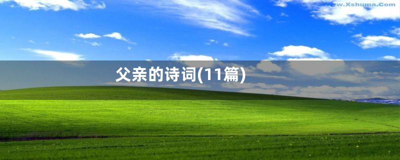 父亲的诗词(11篇)