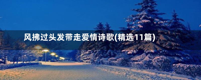 风拂过头发带走爱情诗歌(精选11篇)