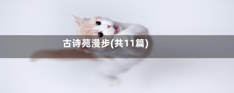 古诗苑漫步(共11篇)