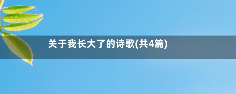 关于我长大了的诗歌(共4篇)