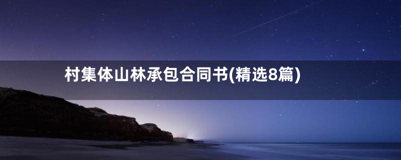 村集体山林承包合同书(精选8篇)