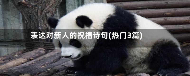表达对新人的祝福诗句(热门3篇)