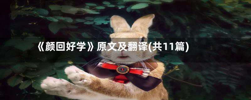 《颜回好学》原文及翻译(共11篇)