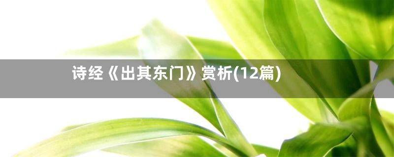诗经《出其东门》赏析(12篇)