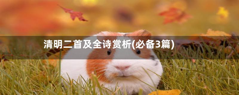 清明二首及全诗赏析(必备3篇)