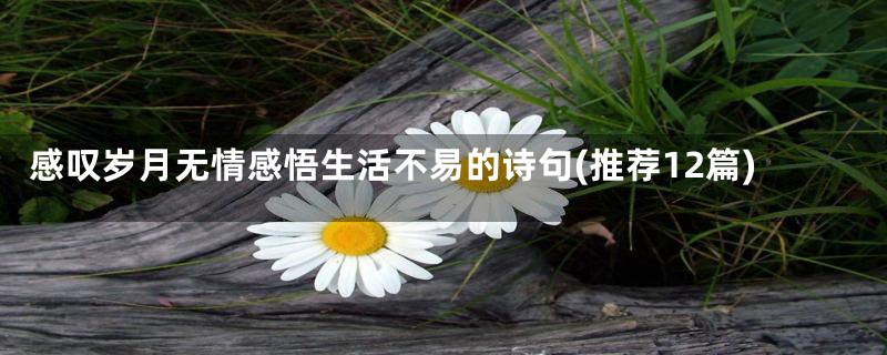 感叹岁月无情感悟生活不易的诗句(推荐12篇)