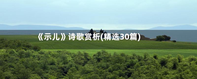 《示儿》诗歌赏析(精选30篇)