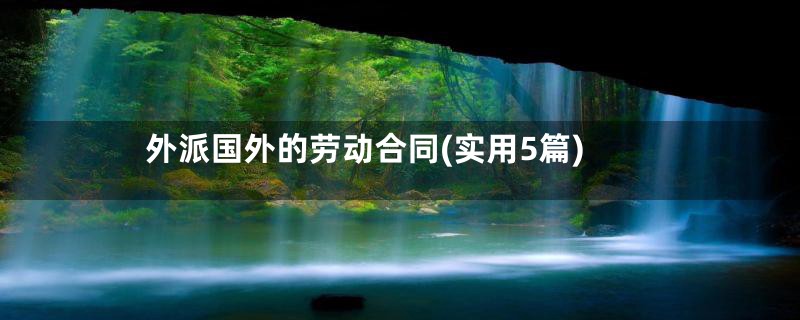 外派国外的劳动合同(实用5篇)