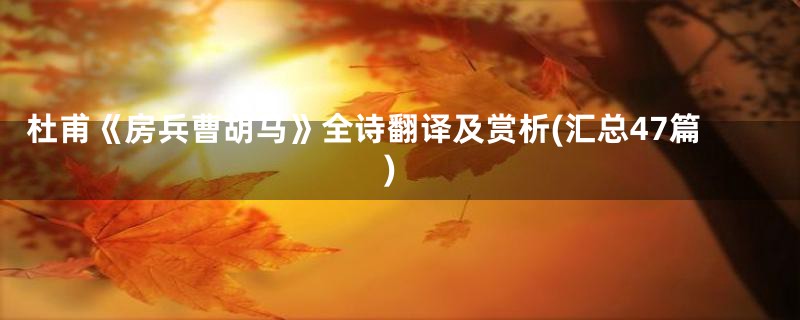 杜甫《房兵曹胡马》全诗翻译及赏析(汇总47篇)