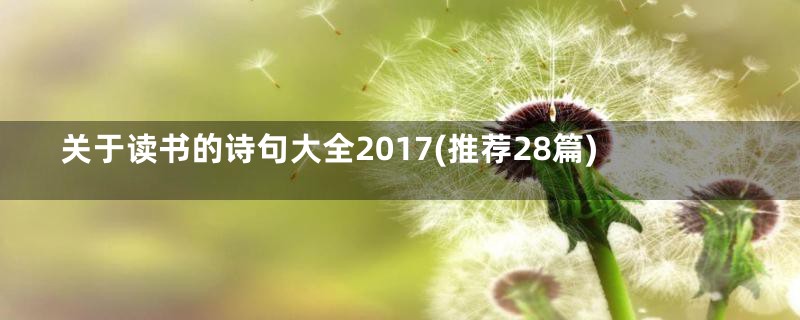 关于读书的诗句大全2017(推荐28篇)