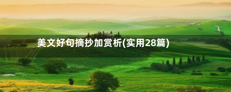 美文好句摘抄加赏析(实用28篇)
