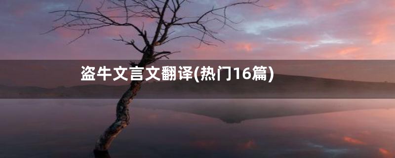 盗牛文言文翻译(热门16篇)