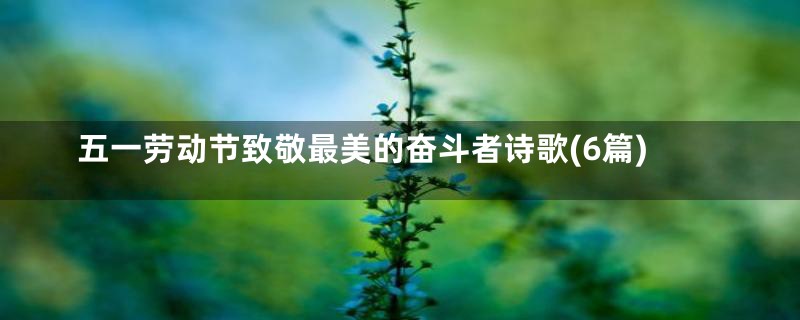五一劳动节致敬最美的奋斗者诗歌(6篇)