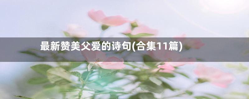 最新赞美父爱的诗句(合集11篇)