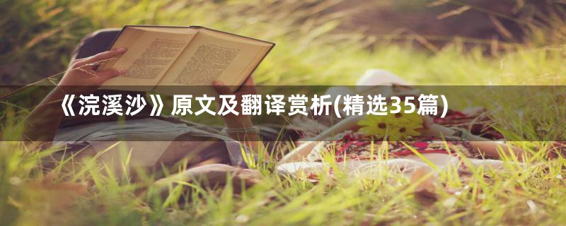 《浣溪沙》原文及翻译赏析(精选35篇)