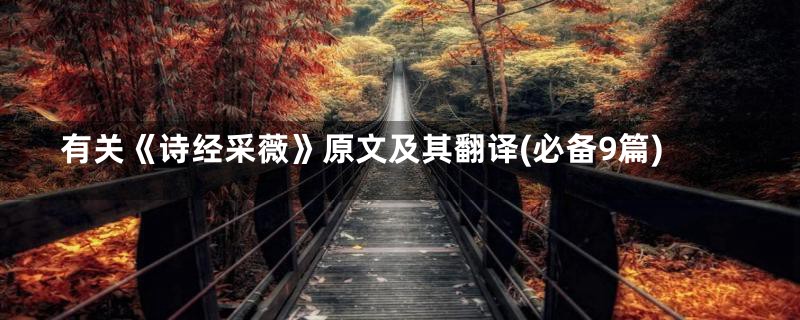 有关《诗经采薇》原文及其翻译(必备9篇)