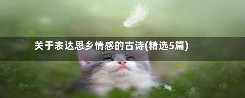 关于表达思乡情感的古诗(精选5篇)
