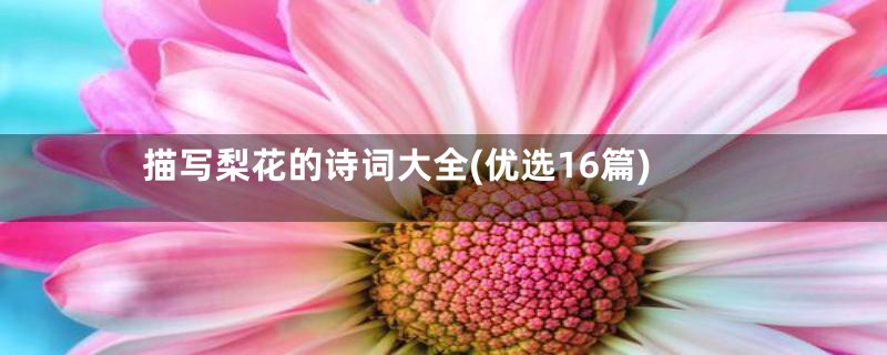 描写梨花的诗词大全(优选16篇)