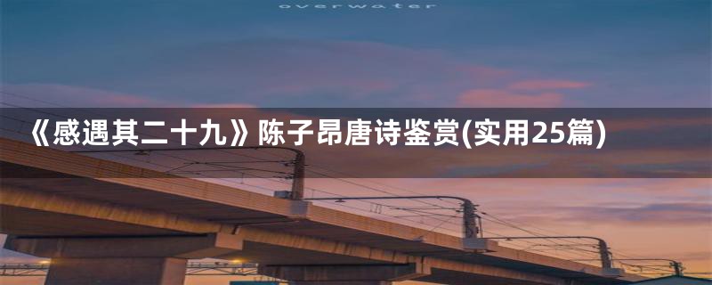 《感遇其二十九》陈子昂唐诗鉴赏(实用25篇)