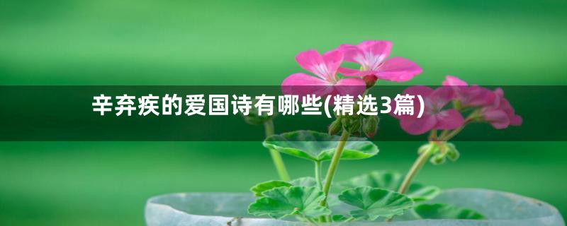 辛弃疾的爱国诗有哪些(精选3篇)