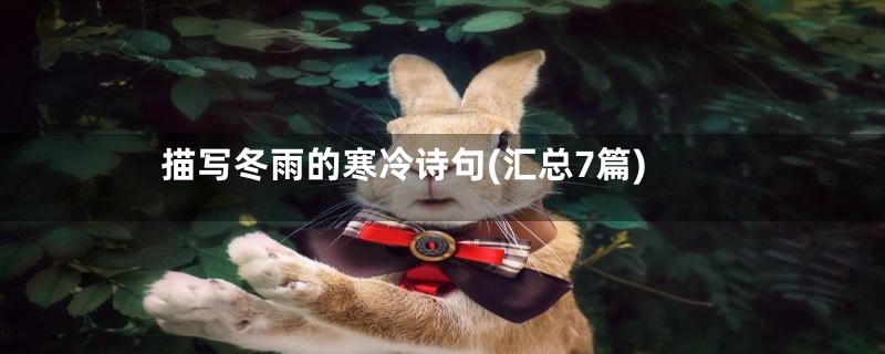描写冬雨的寒冷诗句(汇总7篇)
