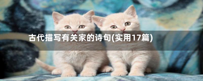 古代描写有关家的诗句(实用17篇)