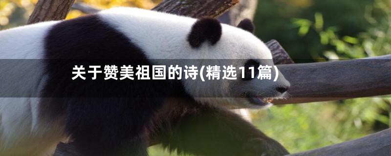 关于赞美祖国的诗(精选11篇)