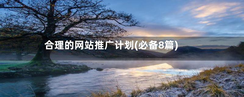 合理的网站推广计划(必备8篇)