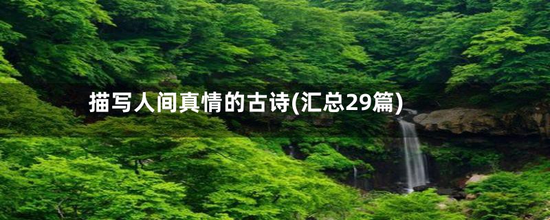 描写人间真情的古诗(汇总29篇)