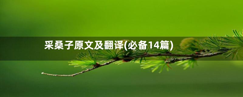 采桑子原文及翻译(必备14篇)