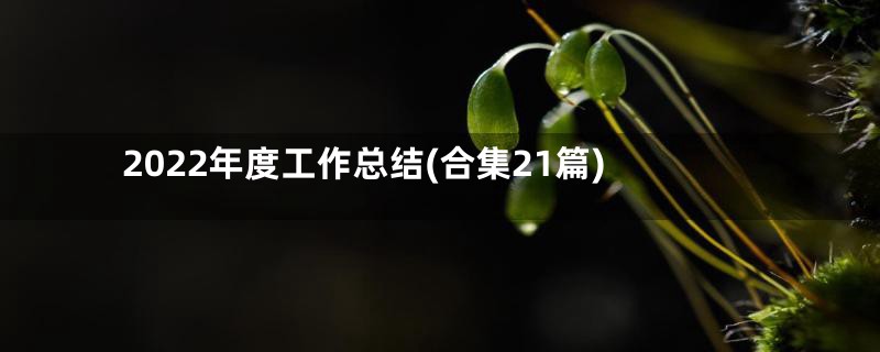 2022年度工作总结(合集21篇)