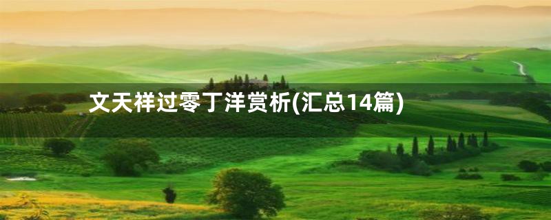 文天祥过零丁洋赏析(汇总14篇)