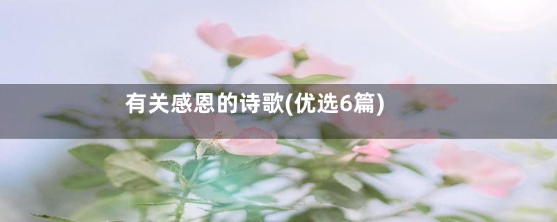 有关感恩的诗歌(优选6篇)