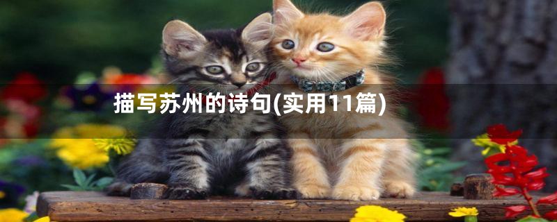 描写苏州的诗句(实用11篇)