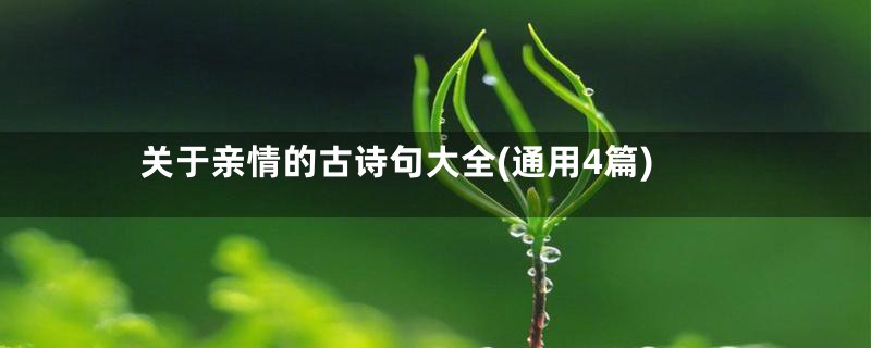 关于亲情的古诗句大全(通用4篇)