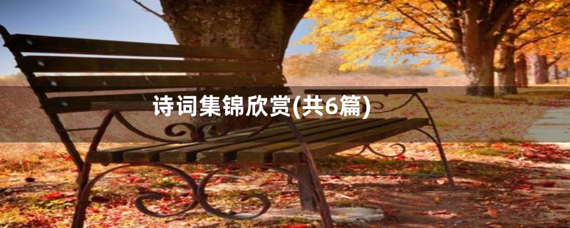 诗词集锦欣赏(共6篇)