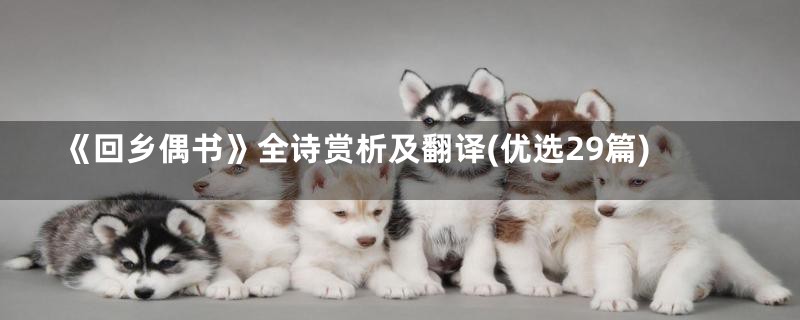《回乡偶书》全诗赏析及翻译(优选29篇)