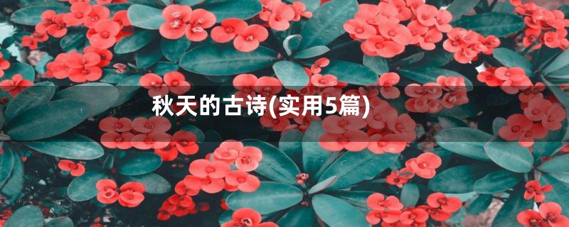 秋天的古诗(实用5篇)