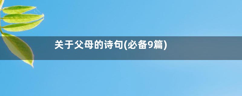 关于父母的诗句(必备9篇)