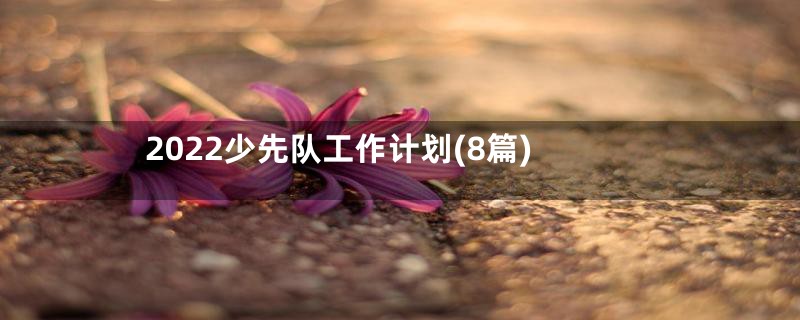2022少先队工作计划(8篇)